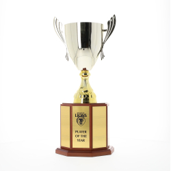 Wellington Cup Perpetual 425mm