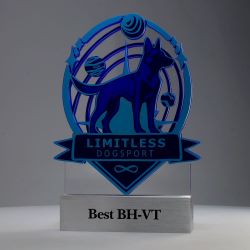Valour Custom Award (Large)