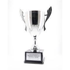 Metal Cups