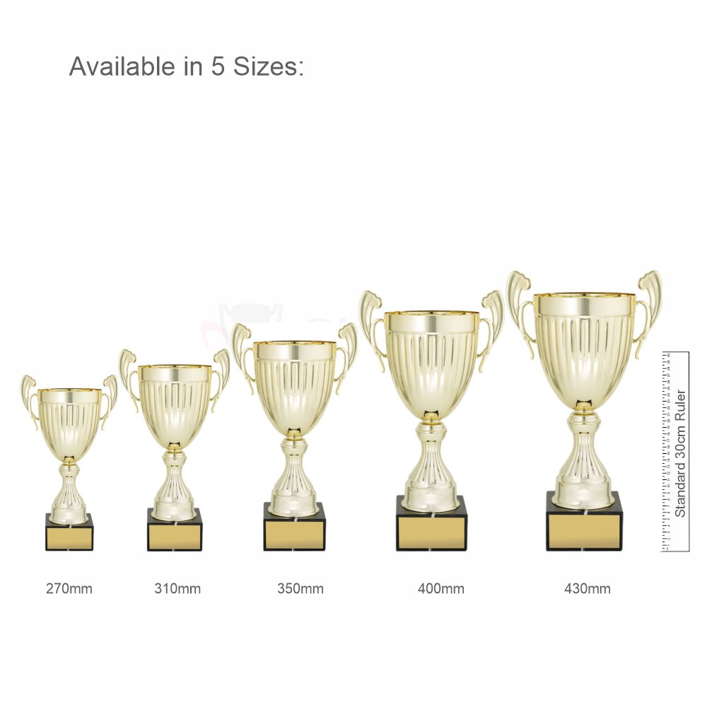 Endeavour Cup Gold 350mm
