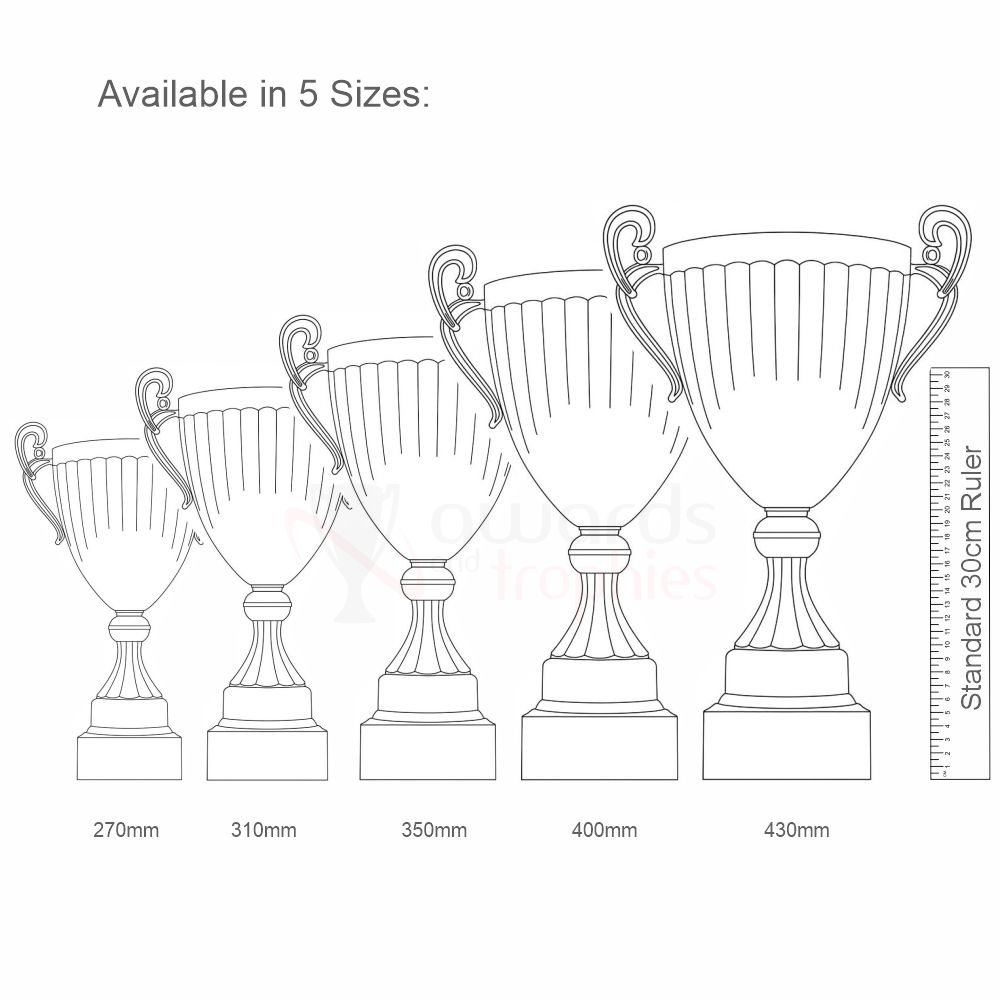 Endeavour Cup Silver 310mm