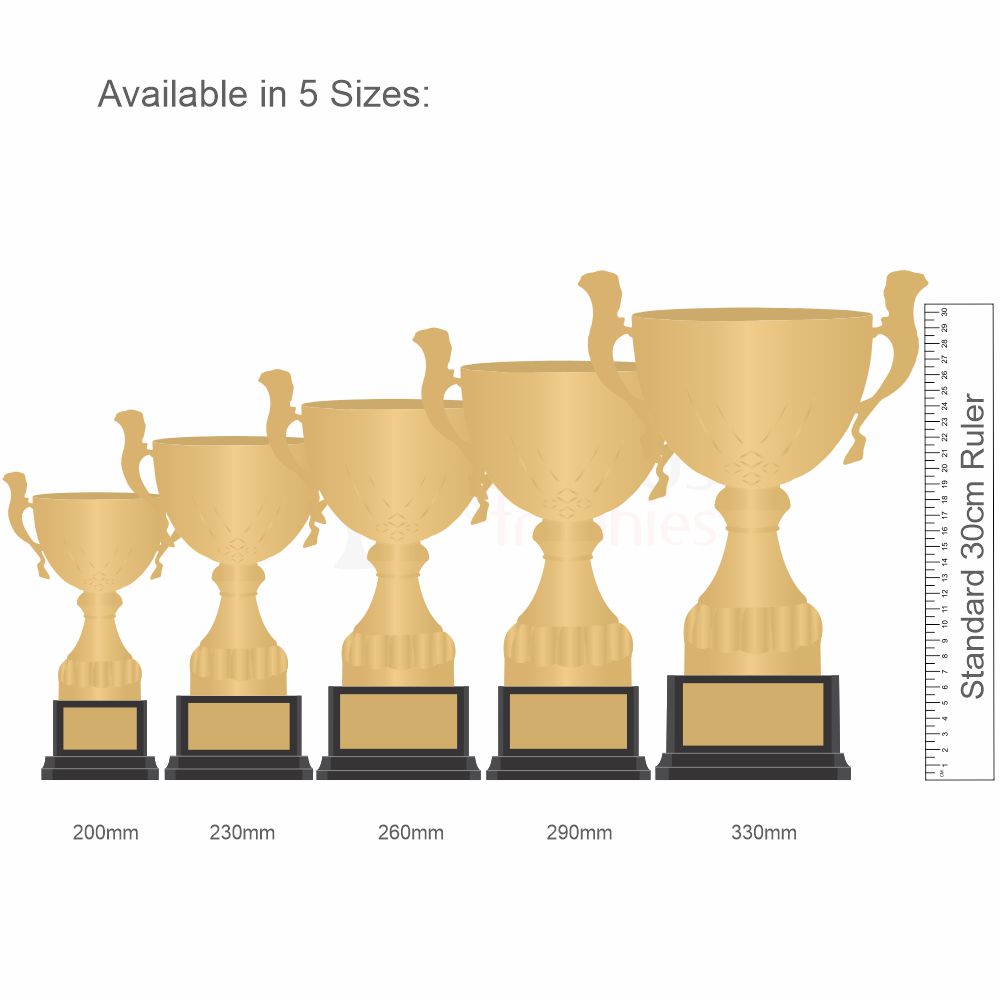 Italian Made Turin Cup Gold 200mm