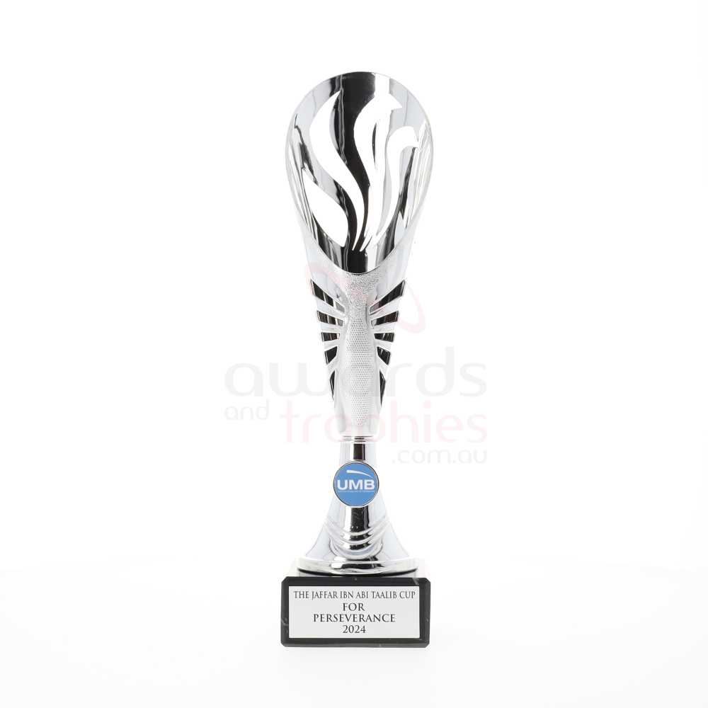Equinox Cup Silver 320mm