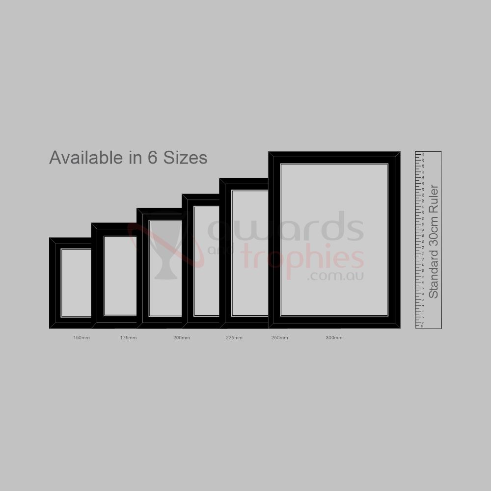 Budget Gloss Black Plaque - Silver 200mm