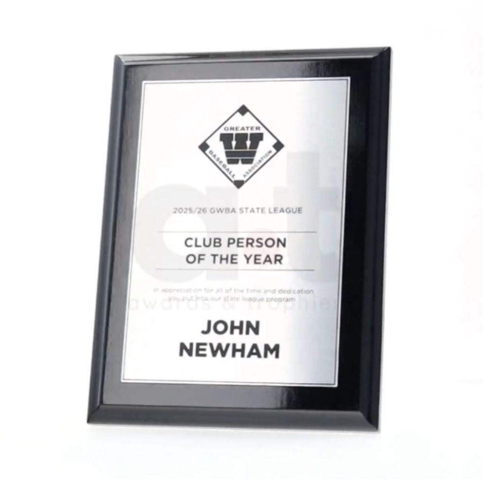 Budget Gloss Black Plaque - Silver 225mm