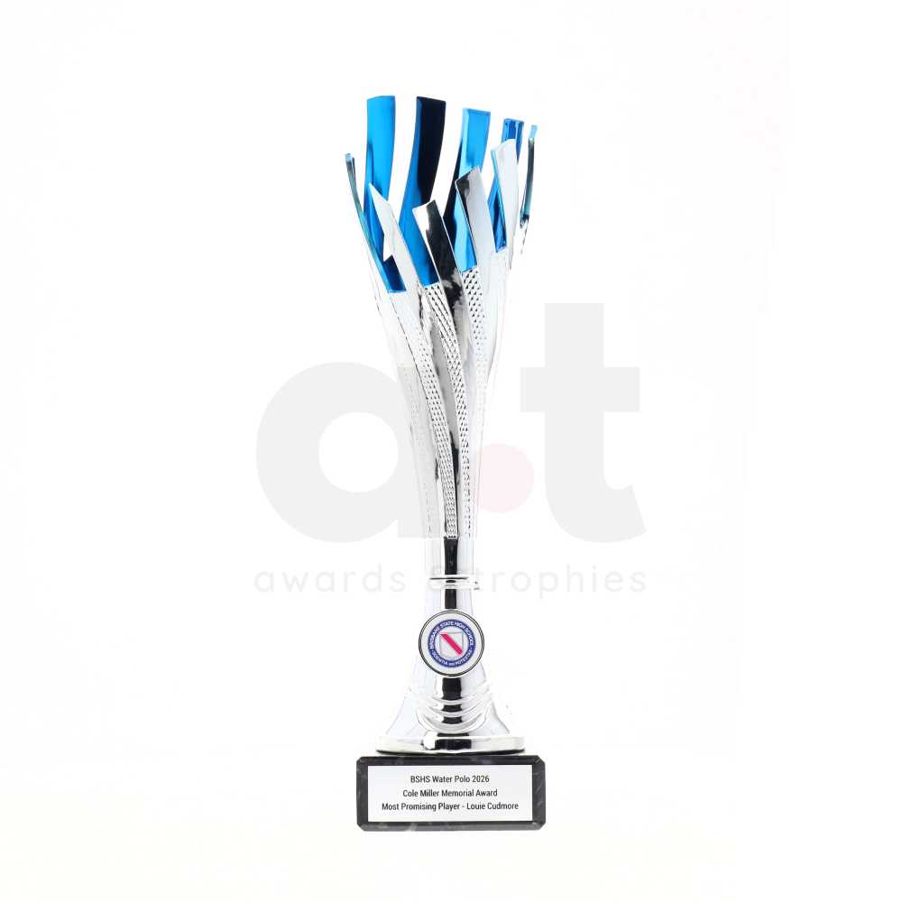 Tenerife Cup Silver/Blue 325mm