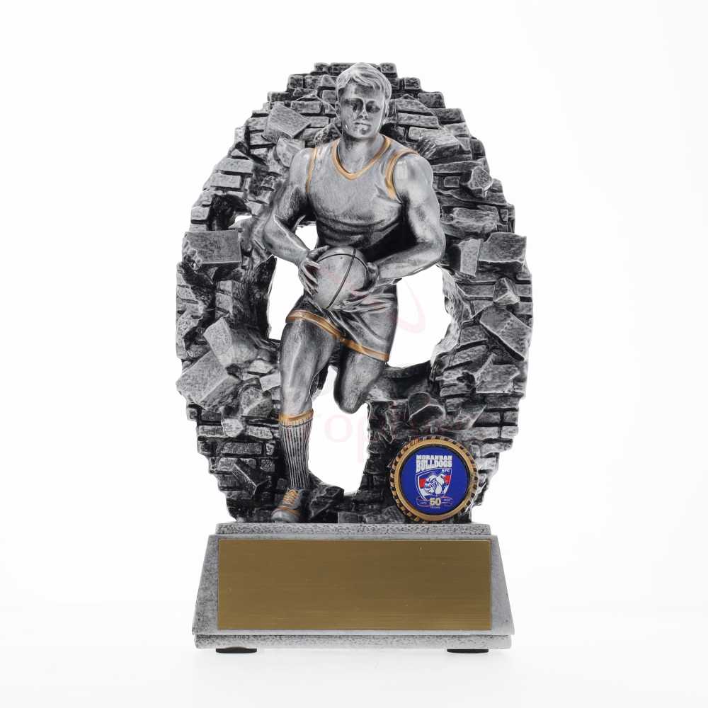 Male Footy Crash Through 270mm