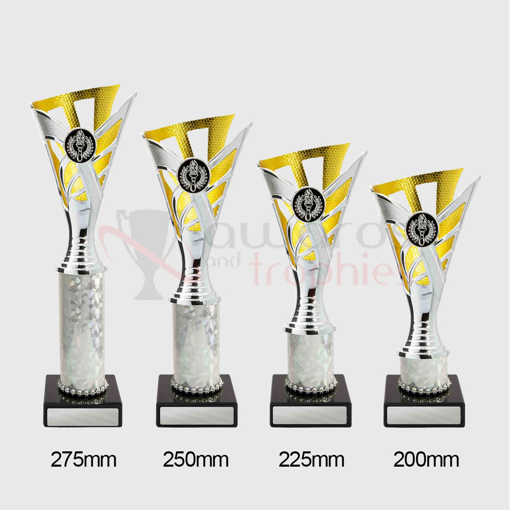 Palma Cup Silver/Gold 250mm