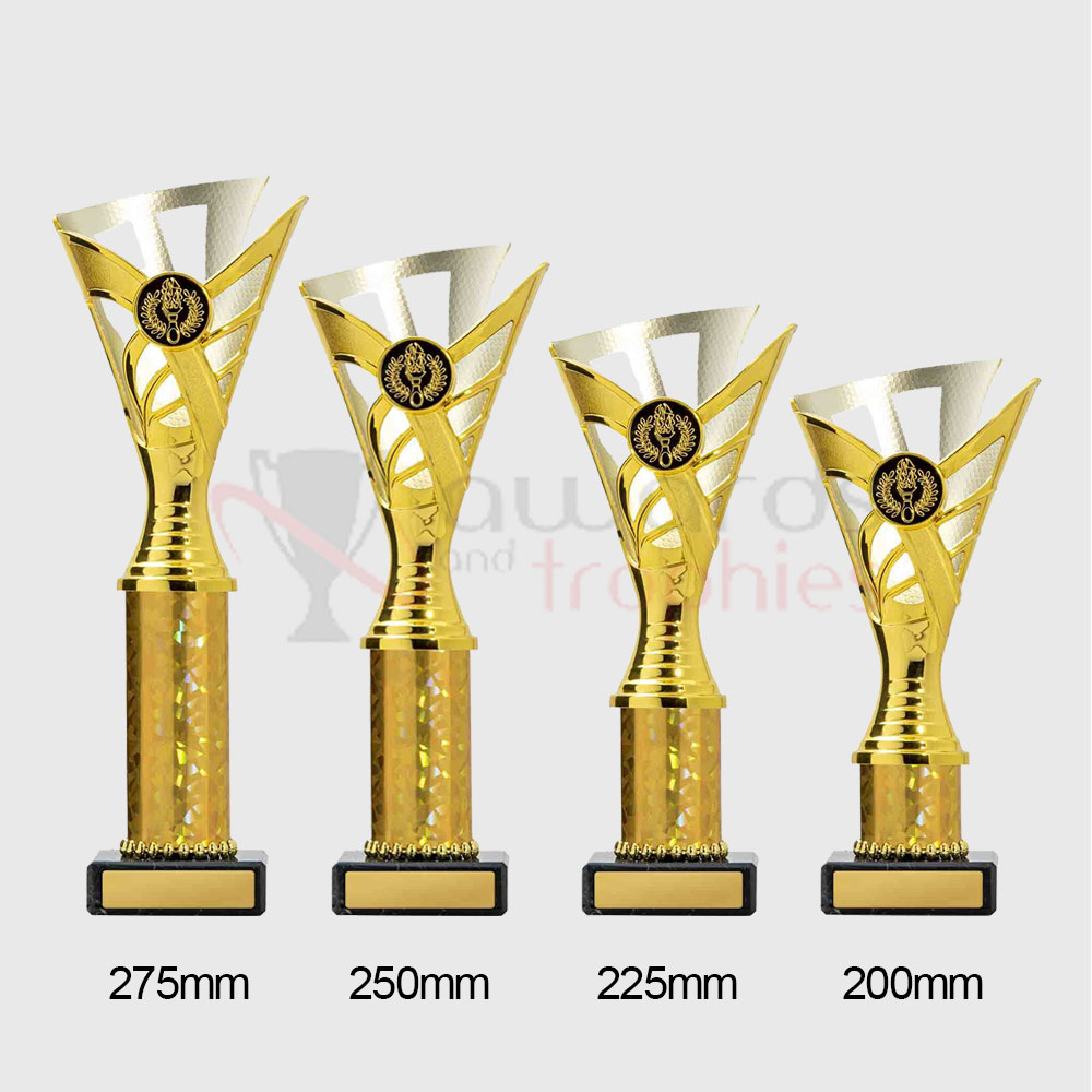 Palma Cup Gold/Silver 275mm