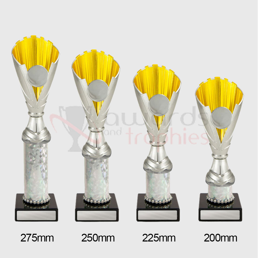 Norwich Cup Silver/Gold 275mm
