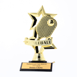 Gold Pickleball Figurine 165mm