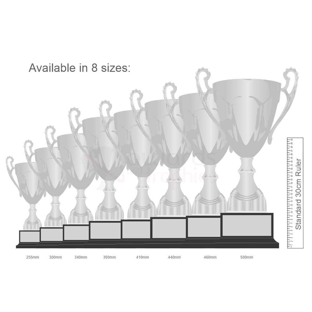 Rubicon Cup 500mm - Silver