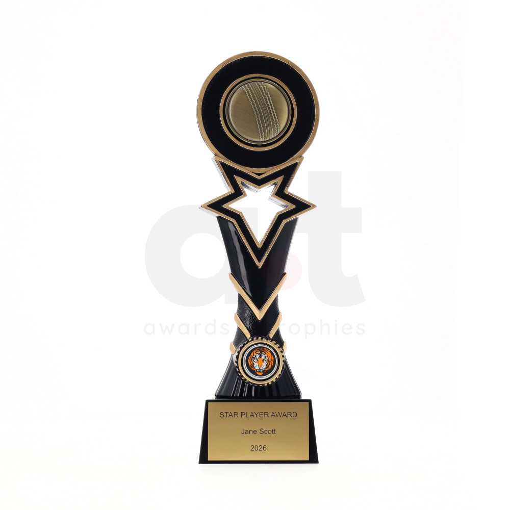 Galactica Series 265mm - Cricket Ball