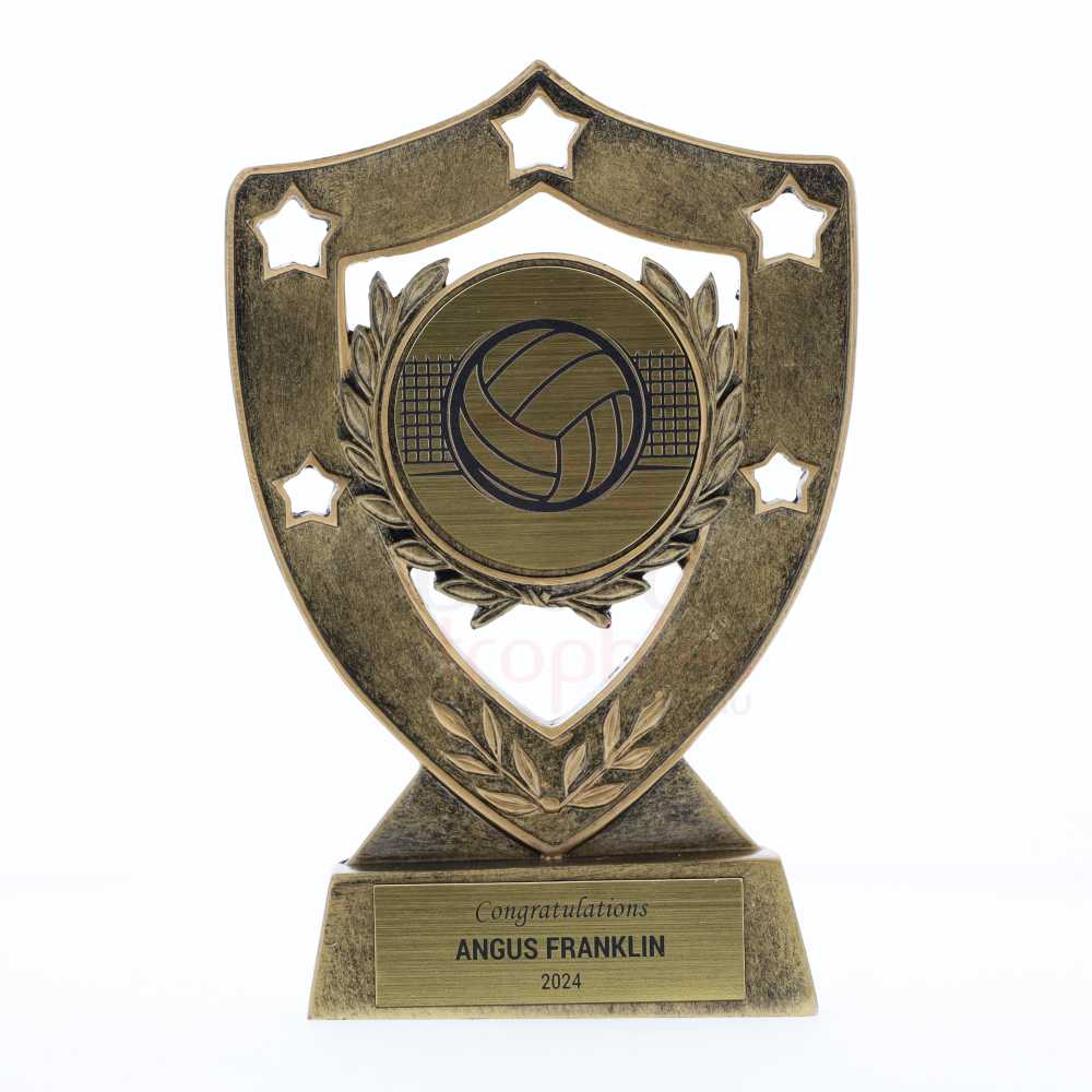 Shield Volleyball 155mm