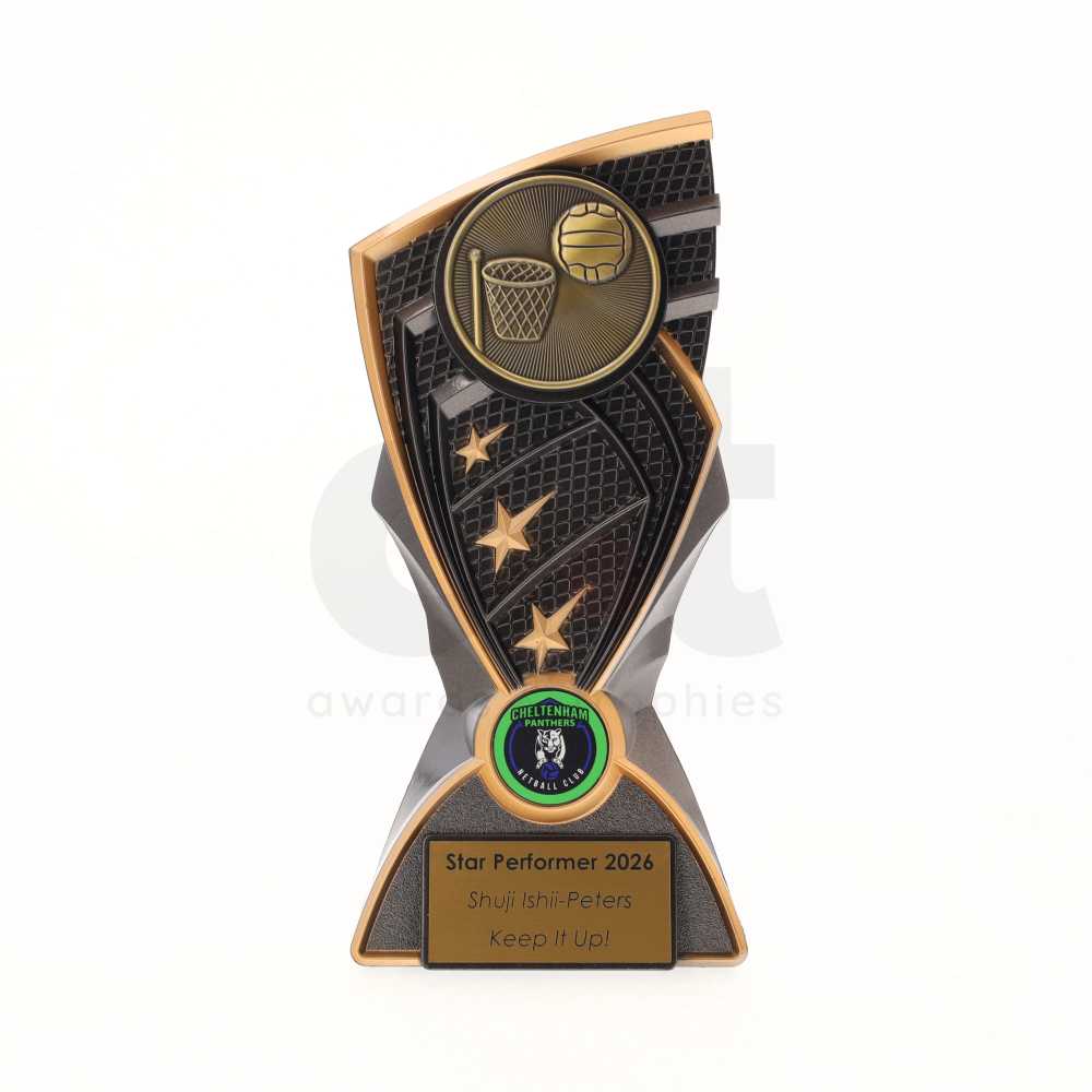 Shard Series 170mm - Netball Hoop