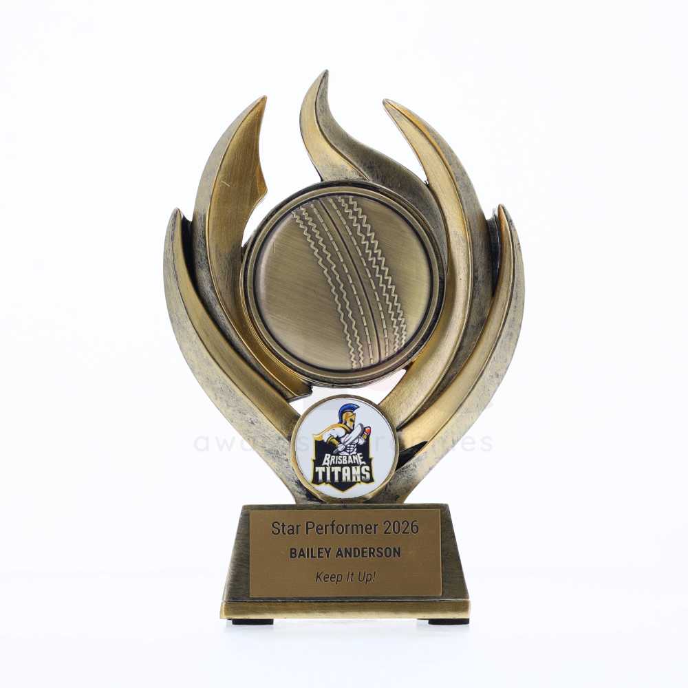 Blaze Series 120mm - Cricket Ball
