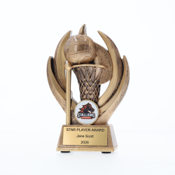 Blaze Resin 120mm - Netball