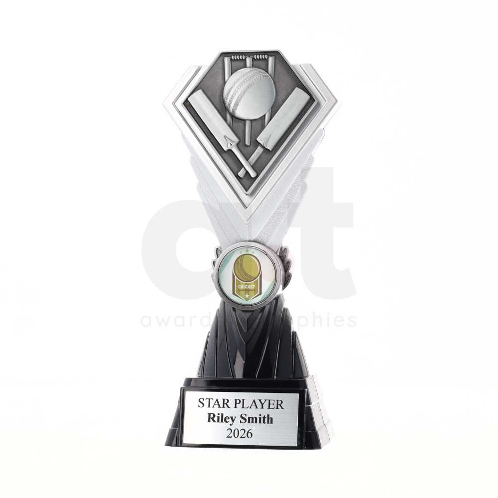 Diamond Trophy 200mm - Cricket