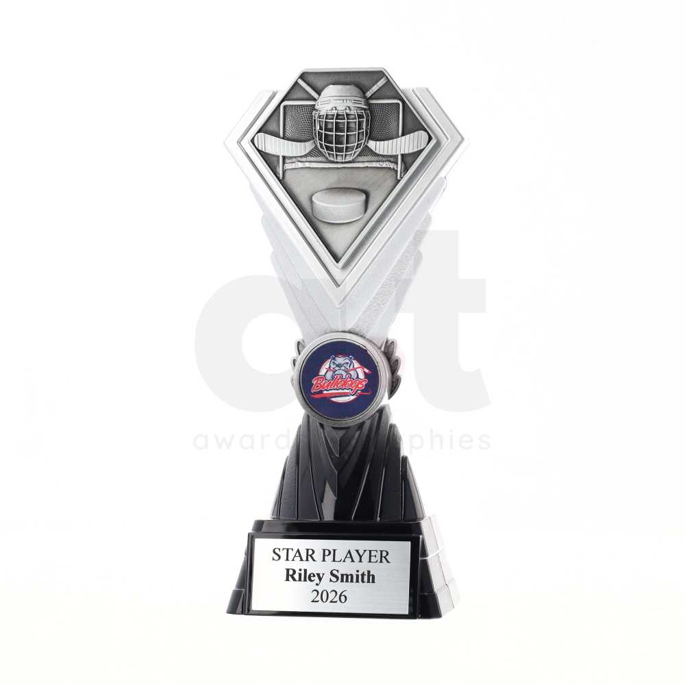 Diamond Trophy 200mm - Ice Hockey