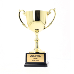 Recognition Cup 210mm - Gold