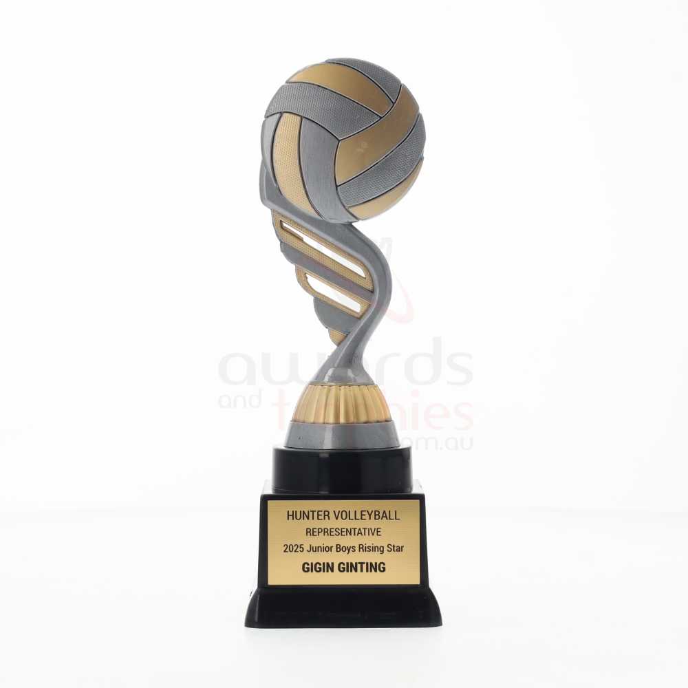 Silver Volleyball Theme on Black Base 195mm 
