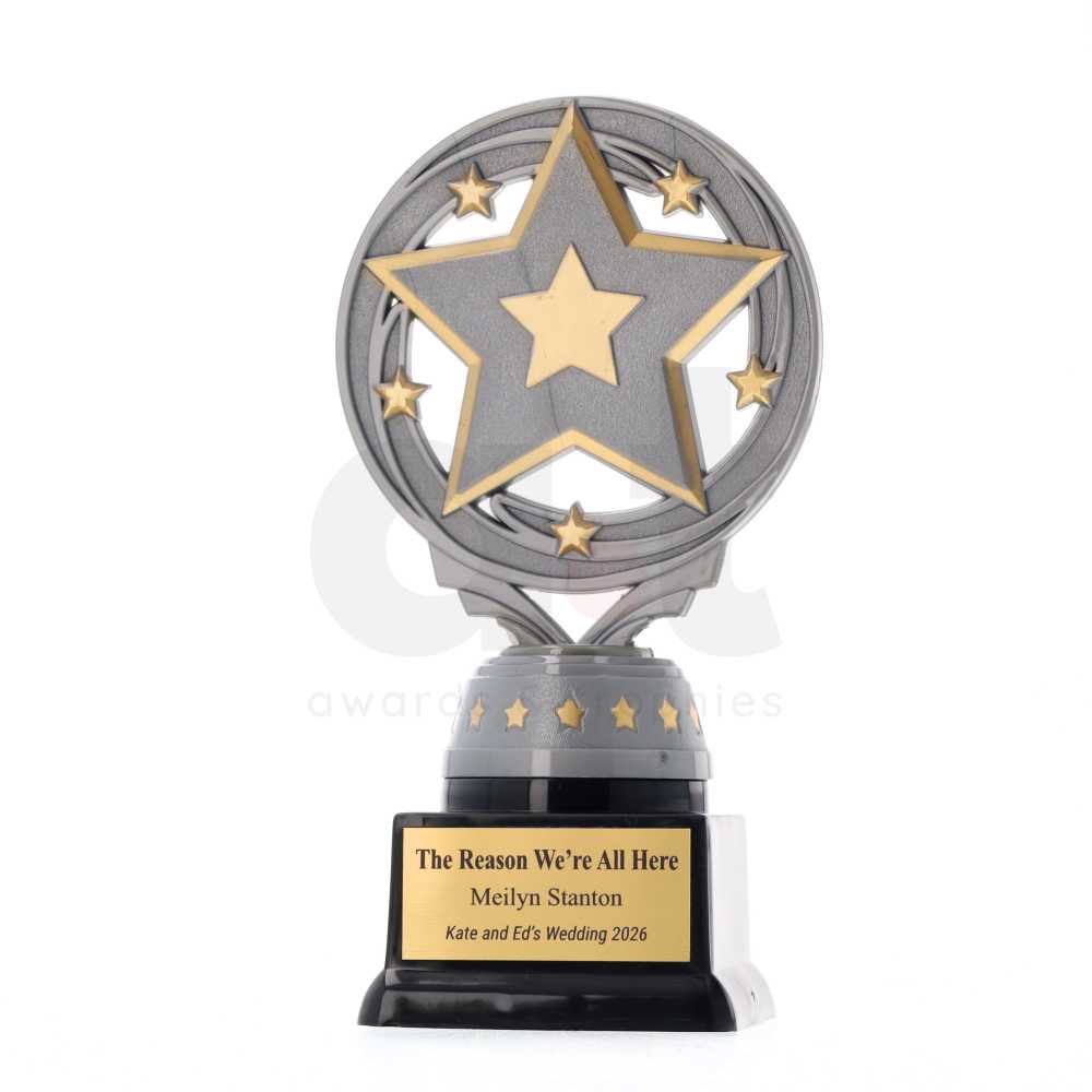 Star Torch Silver 165mm 