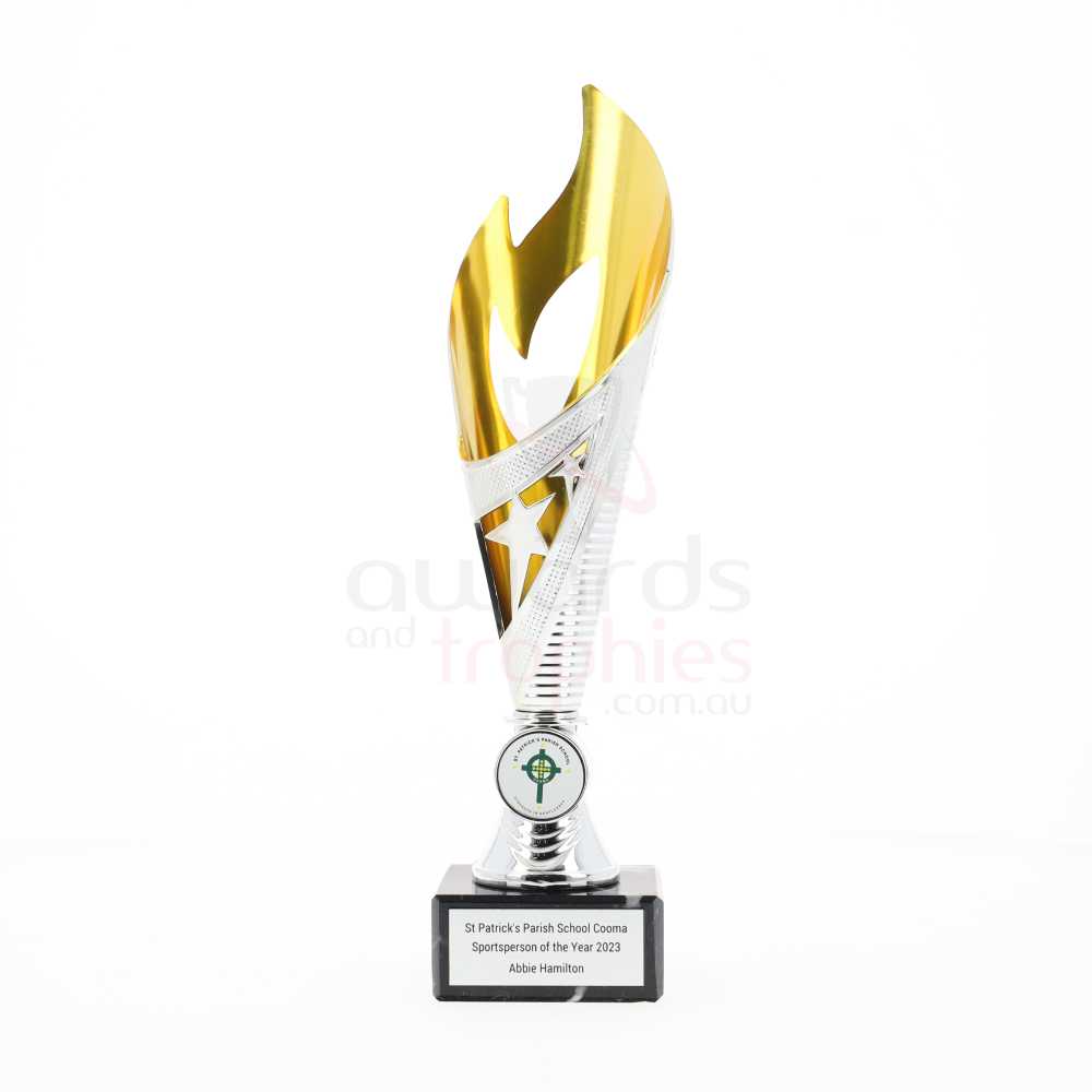 Flamenco Cup Silver/Gold 310mm