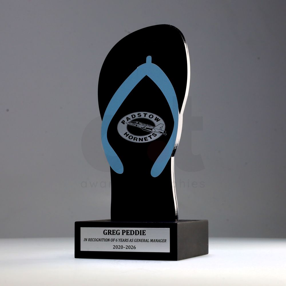 Eminence Custom Award (Small)