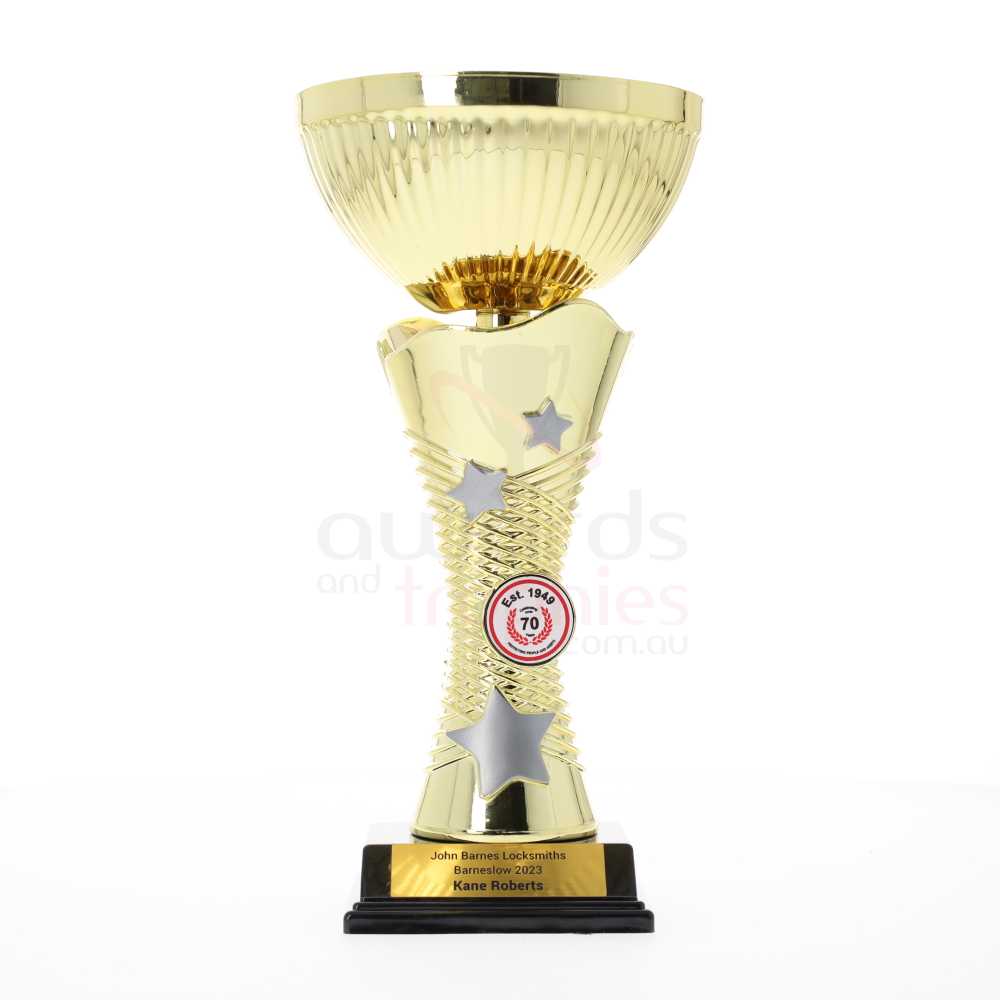 Wayfinder Gold Cup 240mm
