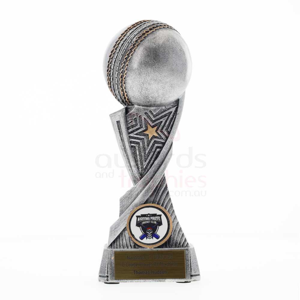 Blaze Series Cricket 180mm