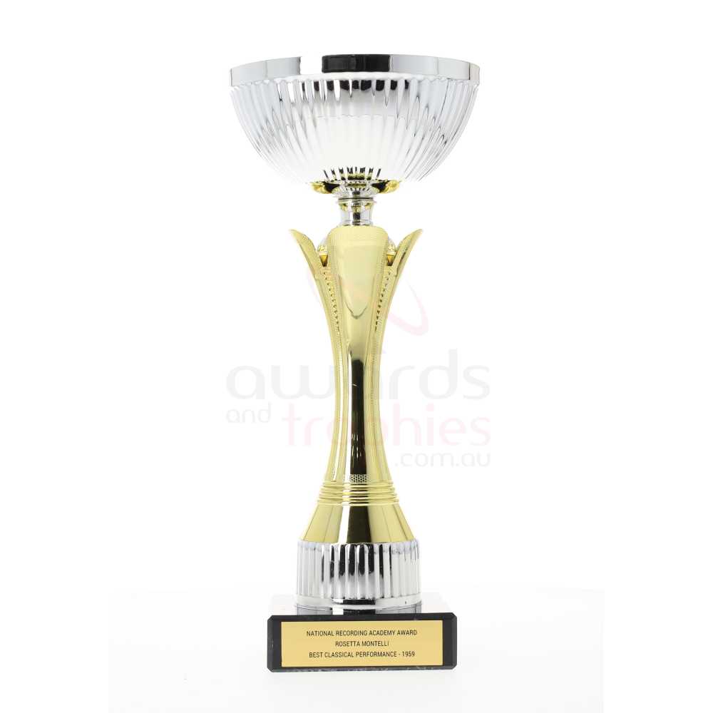 Equity Cup Gold/Silver 235mm