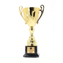 Bordeaux Cup Gold 304mm